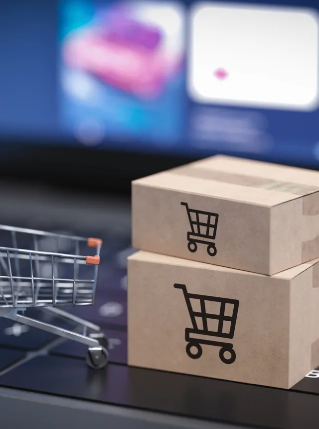 E-commerce store development for Algeria — COD checkout and Yalidine shipping integration